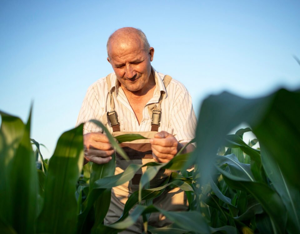 Dívida rural e orçamento da casa: onde o aperto aparece primeiro?